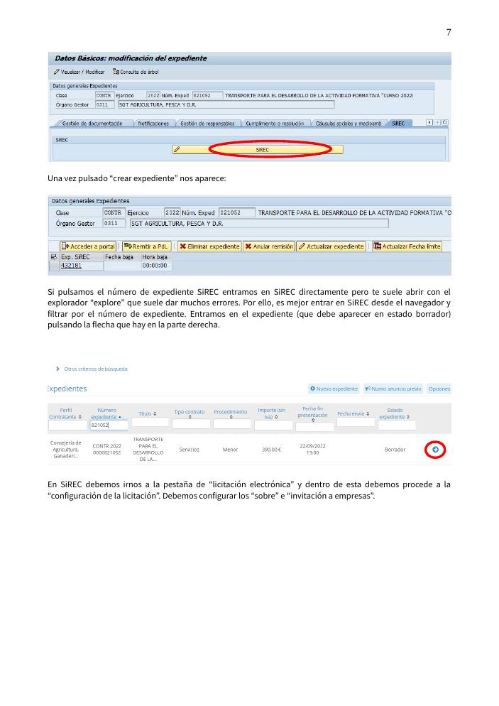 Pantallazo página 7