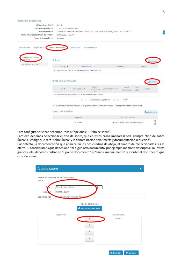 Pantallazo página 8