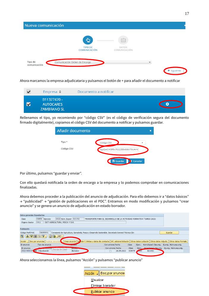 Pantallazo página 17