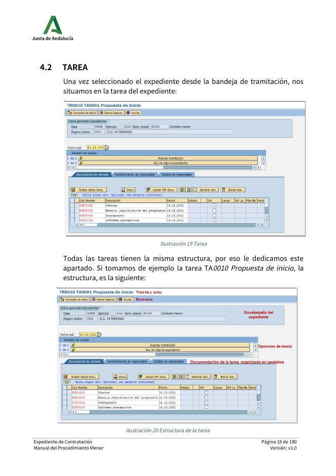 Pantallazo página 19