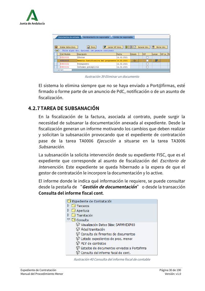 Pantallazo página 30